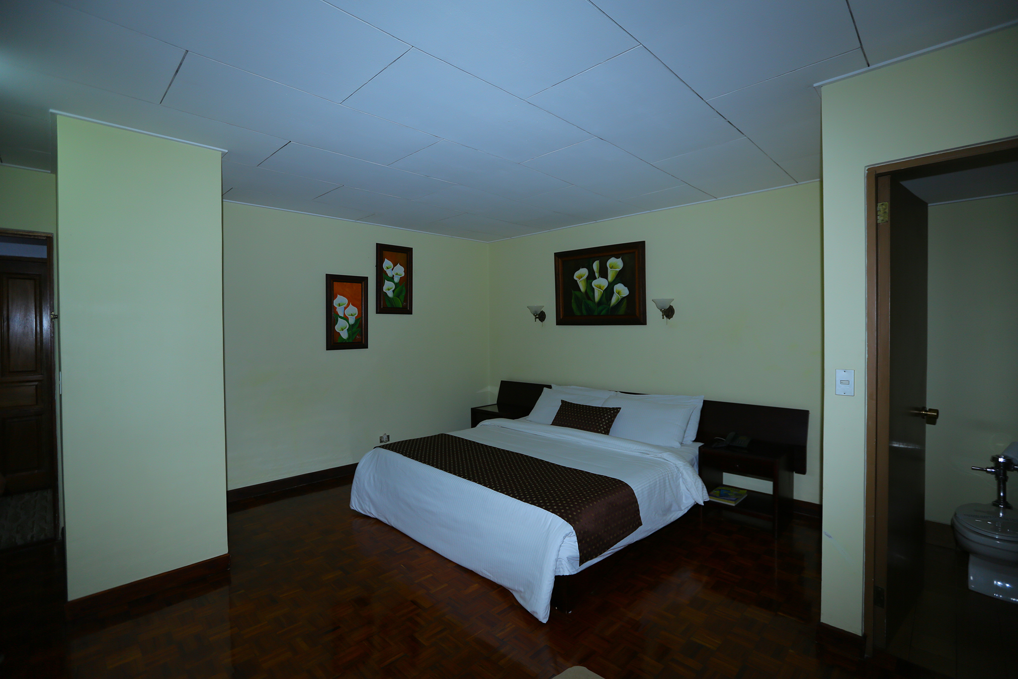 room preview