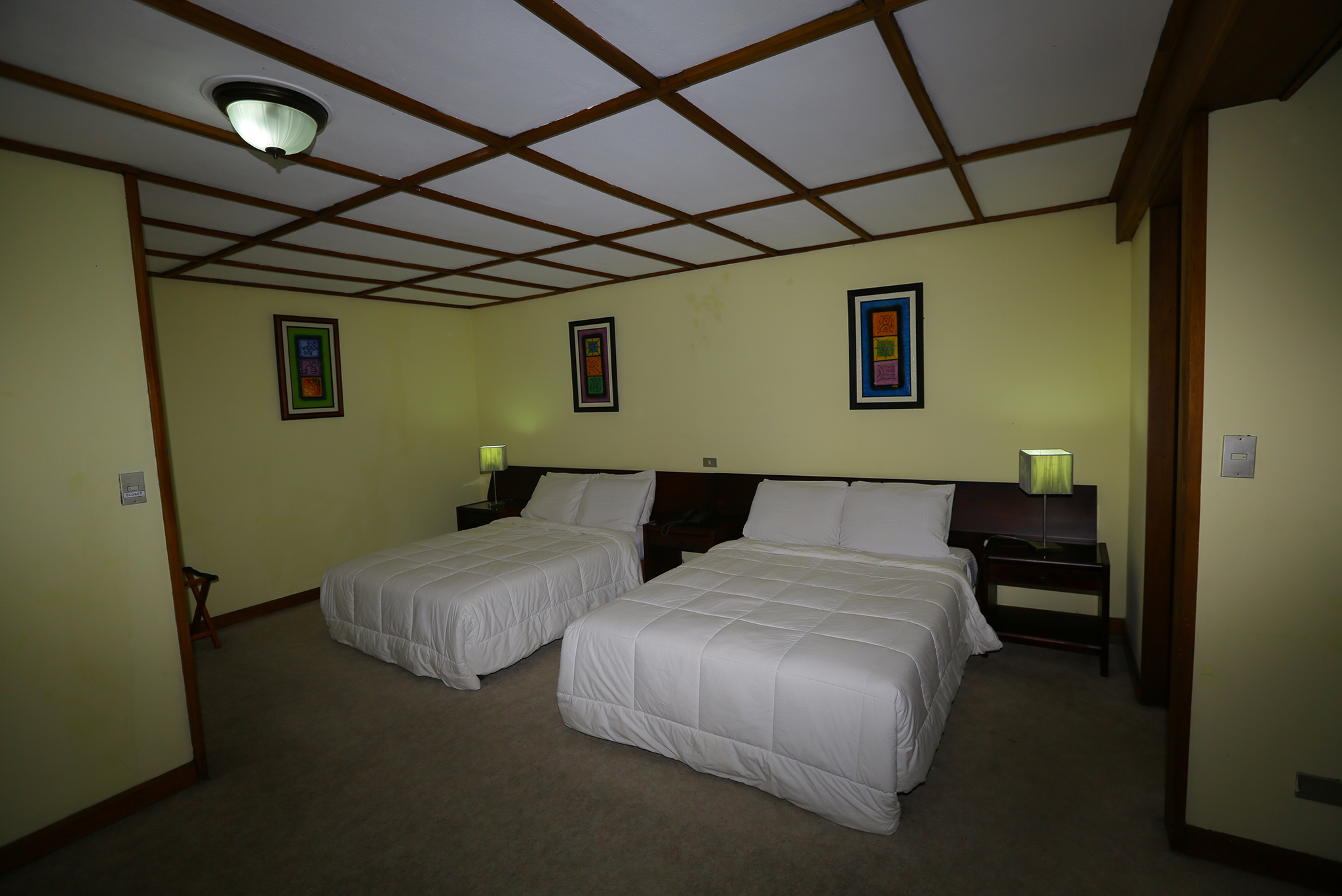 room preview